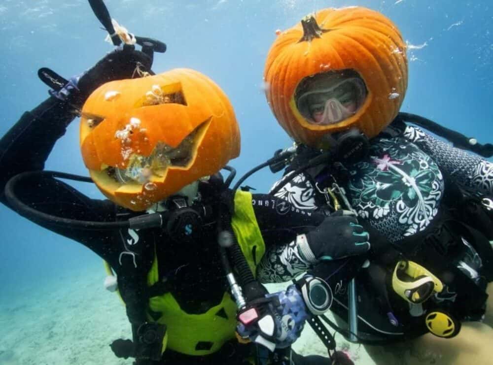Pumpkin Carving Contest at Beaty Centre for Marine Biodiversity