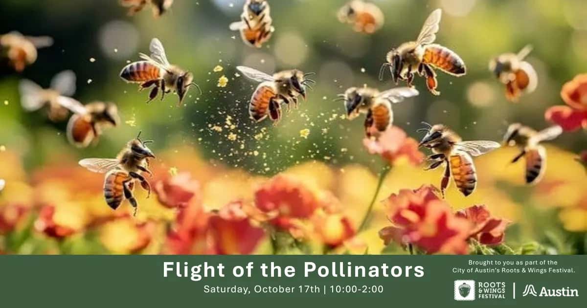 Flight of the Pollinators, a Roots & Wings Event
