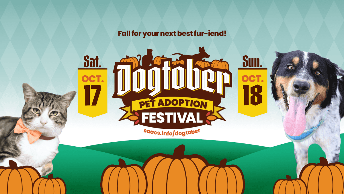 Dogtober Pet Adoption & Fall Festival