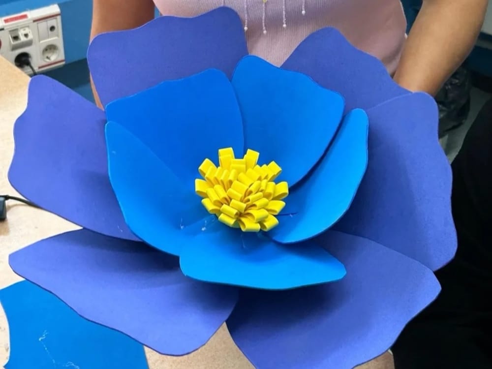 Exposición floral de entidades sociales en A Laxe
