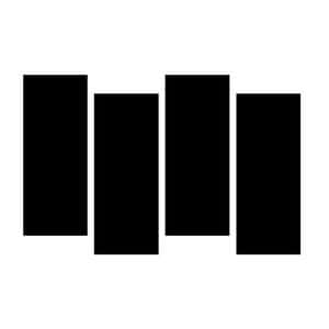 Black Flag