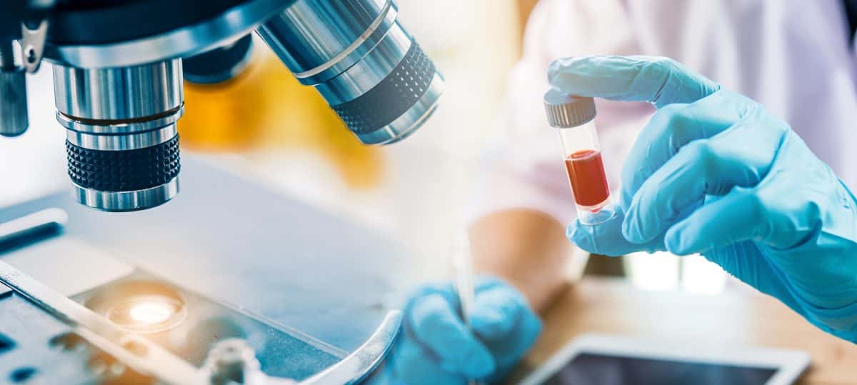 A Career in Medical Research?