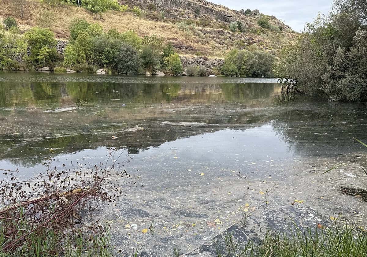 Jornada de recogida de residuos en la ribera del Jerte