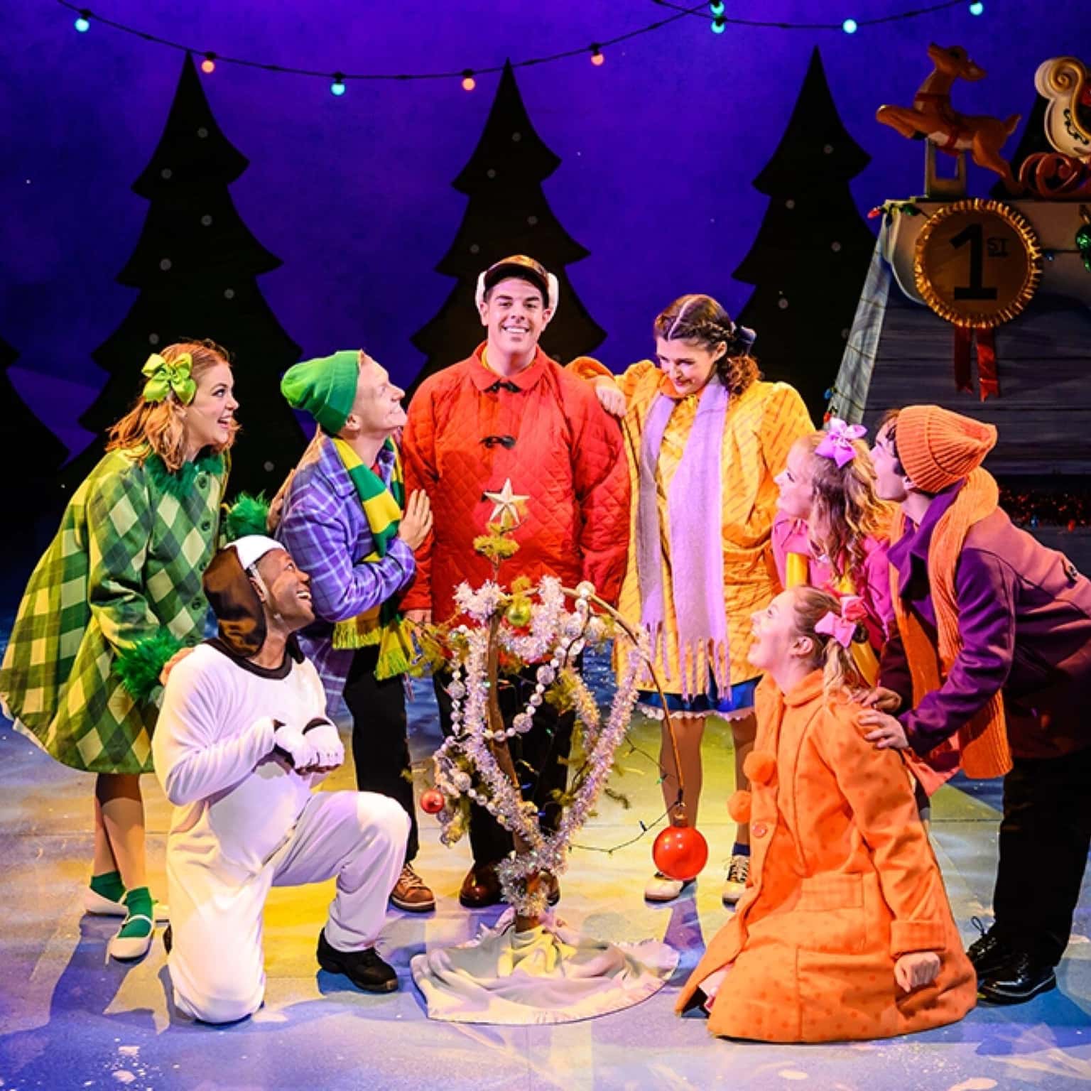 A Charlie Brown Christmas: Live on Stage