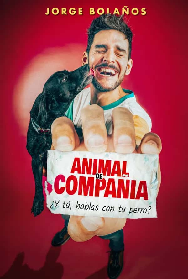 Animal de Compañía