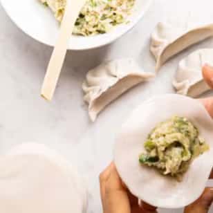 Traditional Asian Dumplings