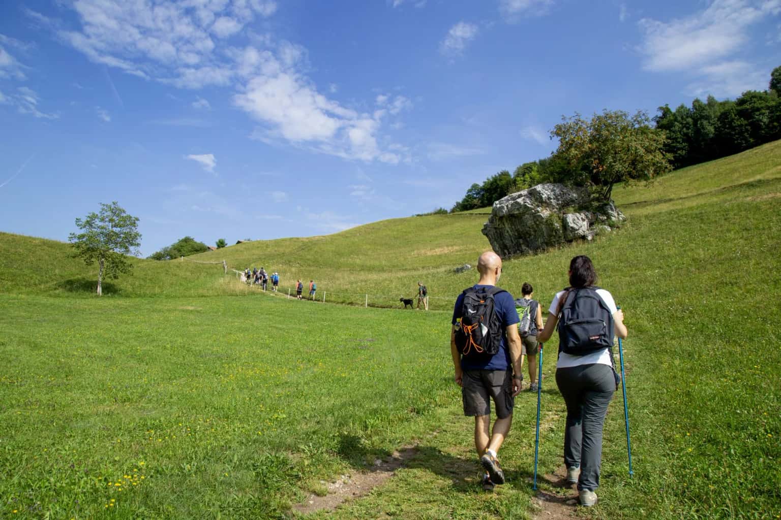 Let's Walk: Historic Canal Walk (Victoria Quays)