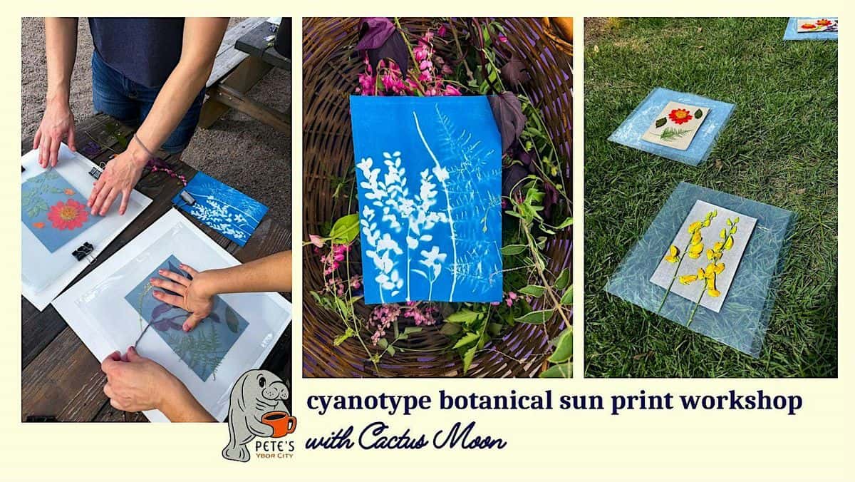 Make Your Own Botanical Art: Sun Printing Workshop