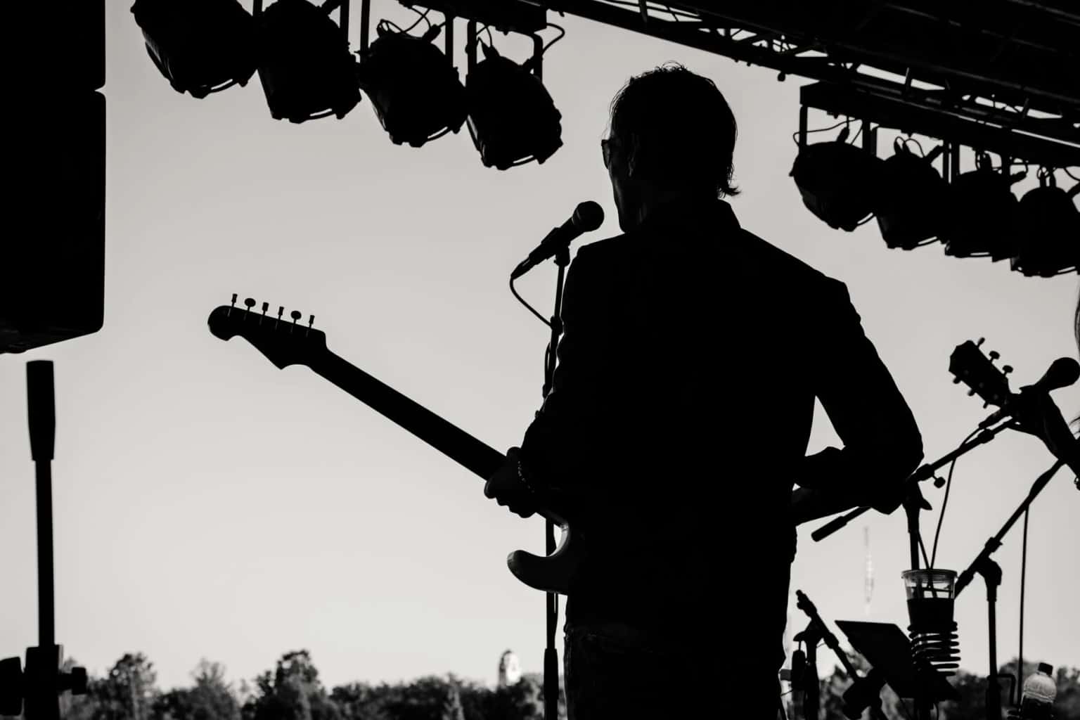 Fuzz Fest V
