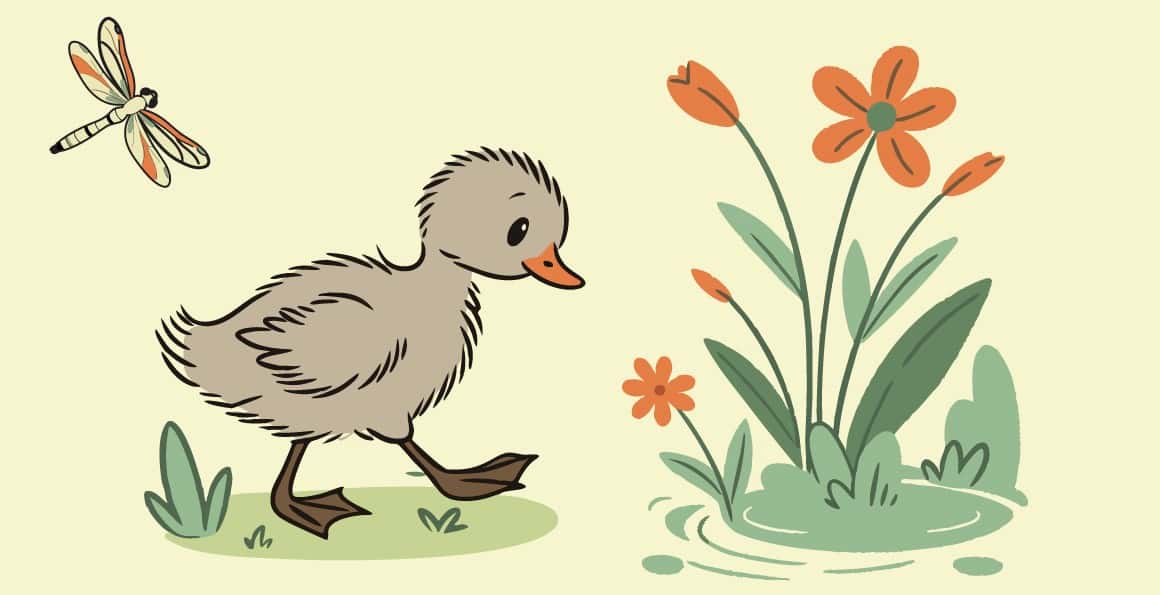 Ugly Duckling