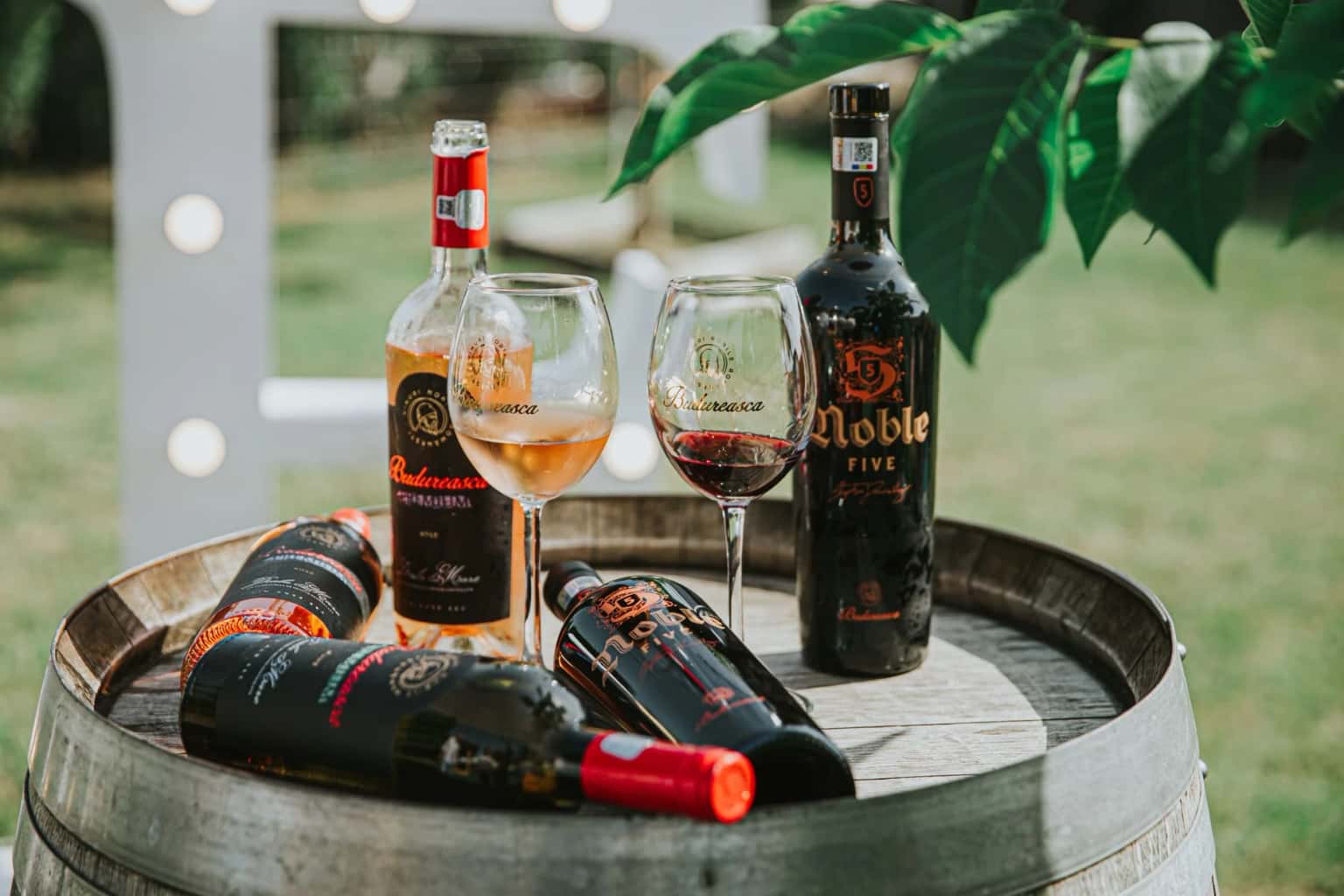 Introduction to Wine Tasting with Lunch