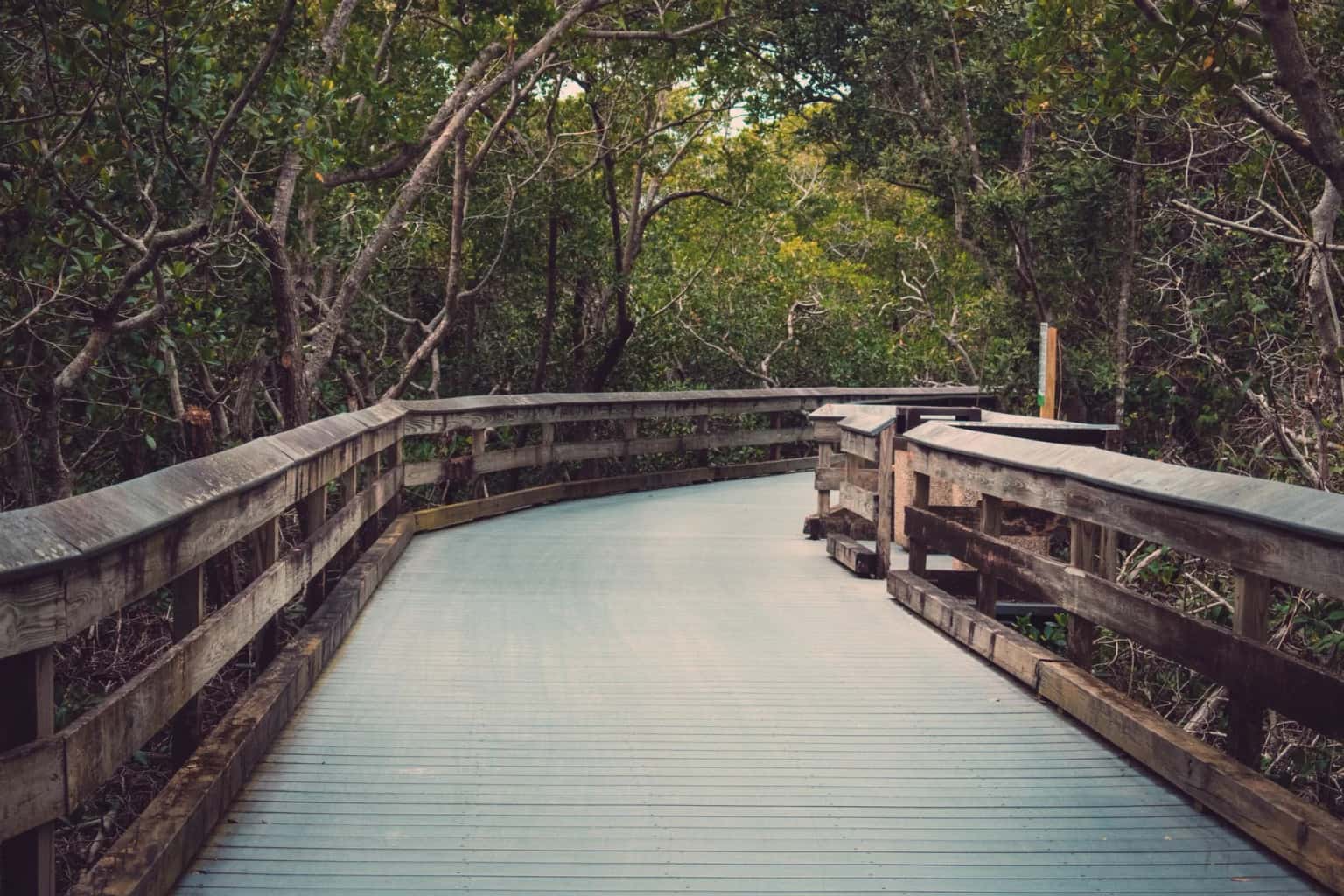 Nature Walks