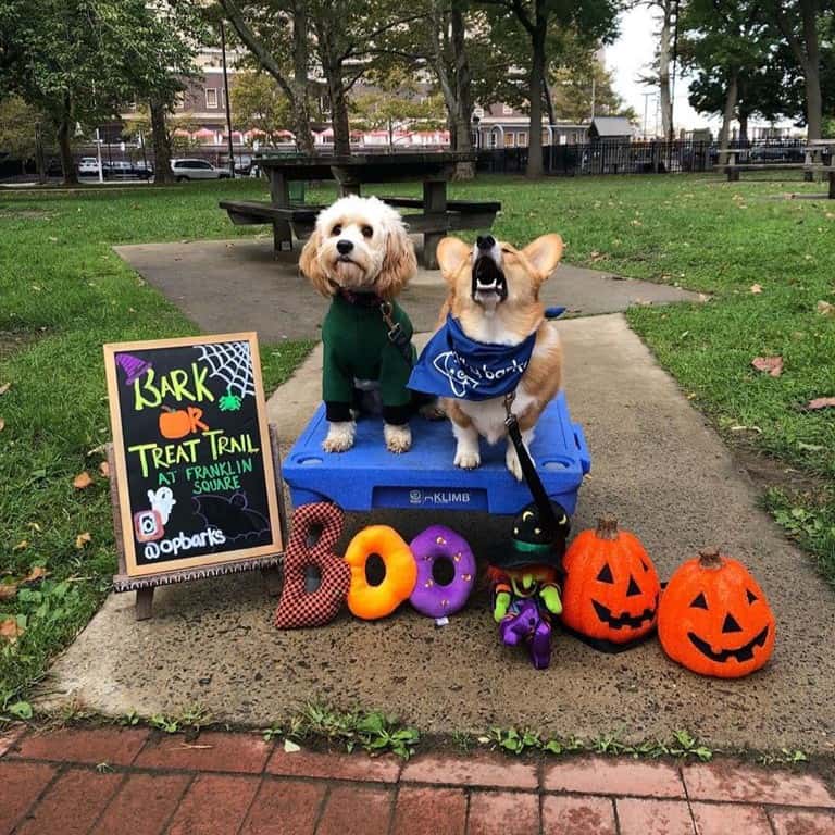 Bark-or-Treat Trail