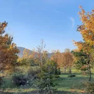 Recorrido naturalístico: Visita guiada al Jardín Botánico de Olarizu: colores de otoño