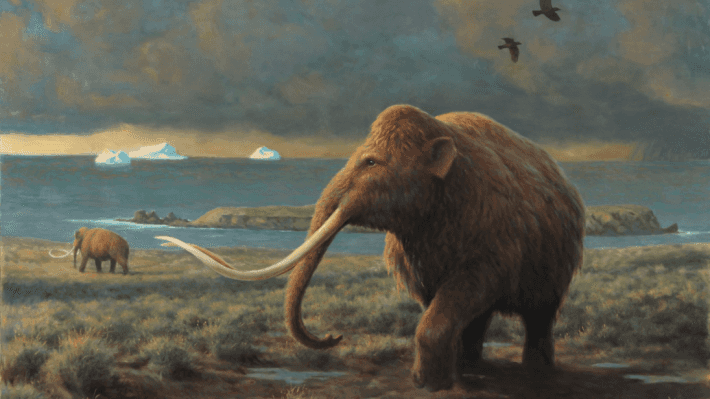 Extinction Explorers