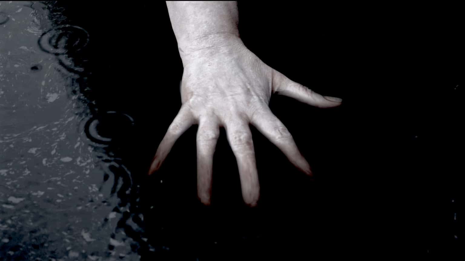 Late Night Art: Hermostasis pop-up screening