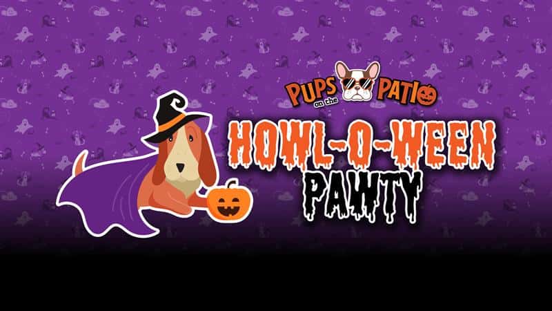 Pups on the Patio Howl-O-Ween Costume Party
