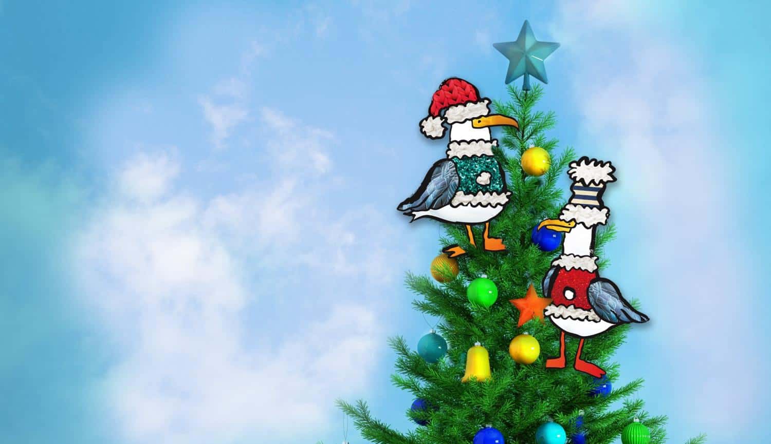 Where Do All The Kittiwakes Go At Christmas?