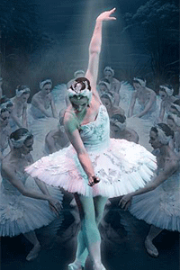O lago dos cisnes - International Ballet Company