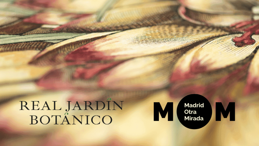 Visita guiada MOM: El Real Jardín Botánico en su contexto histórico