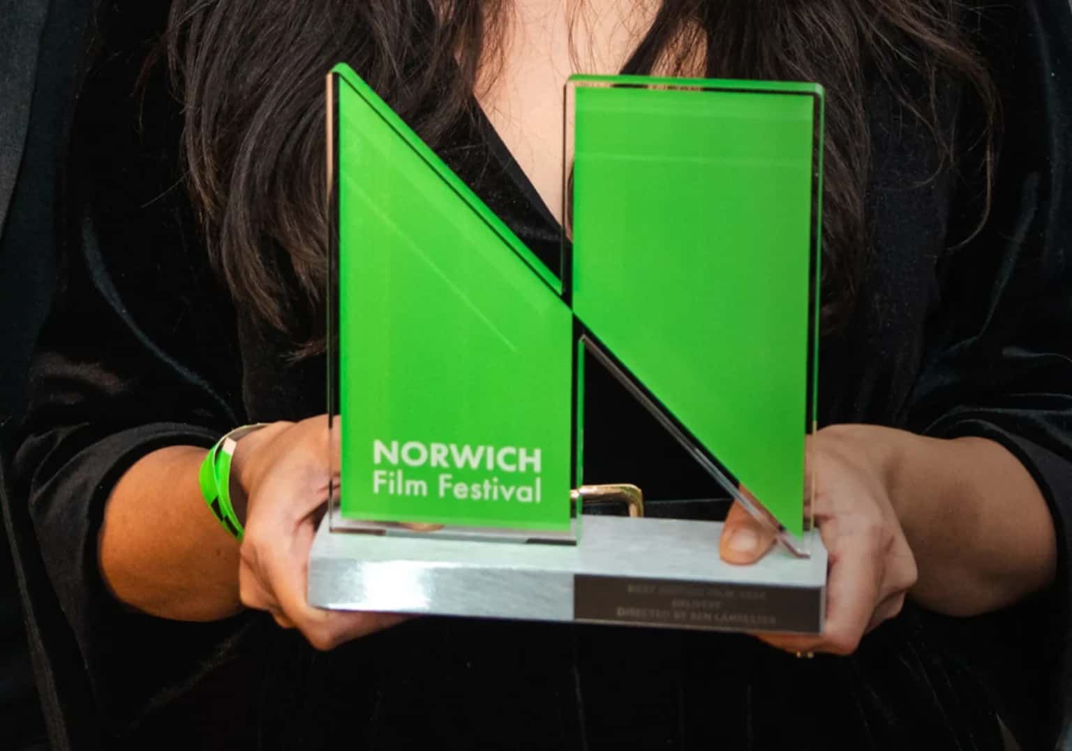 Award Winners Showcase (18)