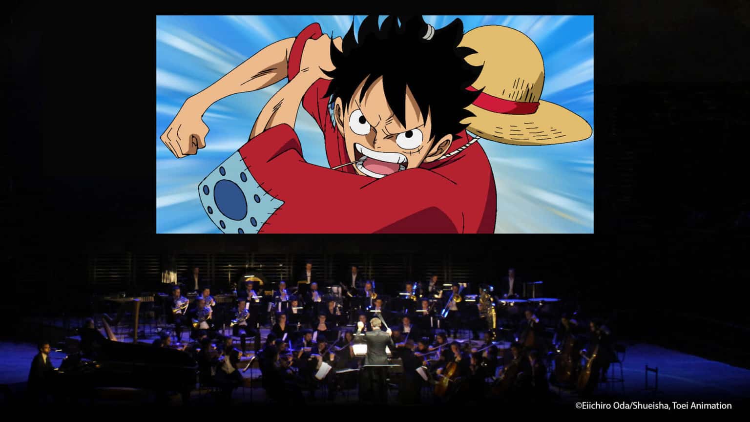 One Piece in Concert