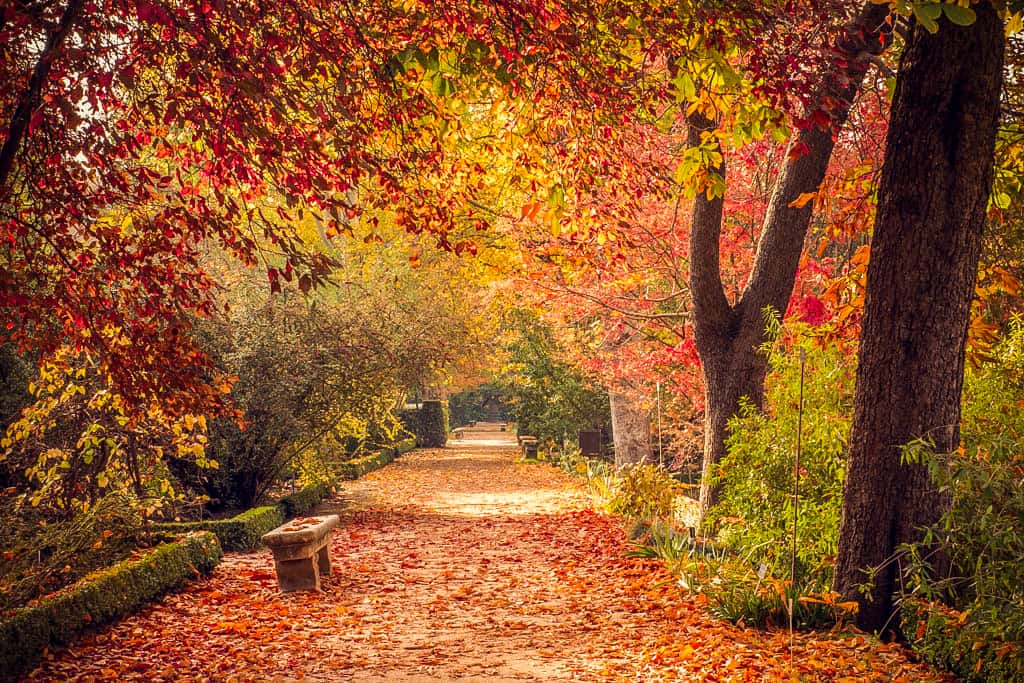 Visita guiada: Las cuatro estaciones: otoño