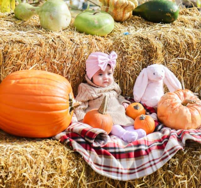 Pumpkin Harvest Festival