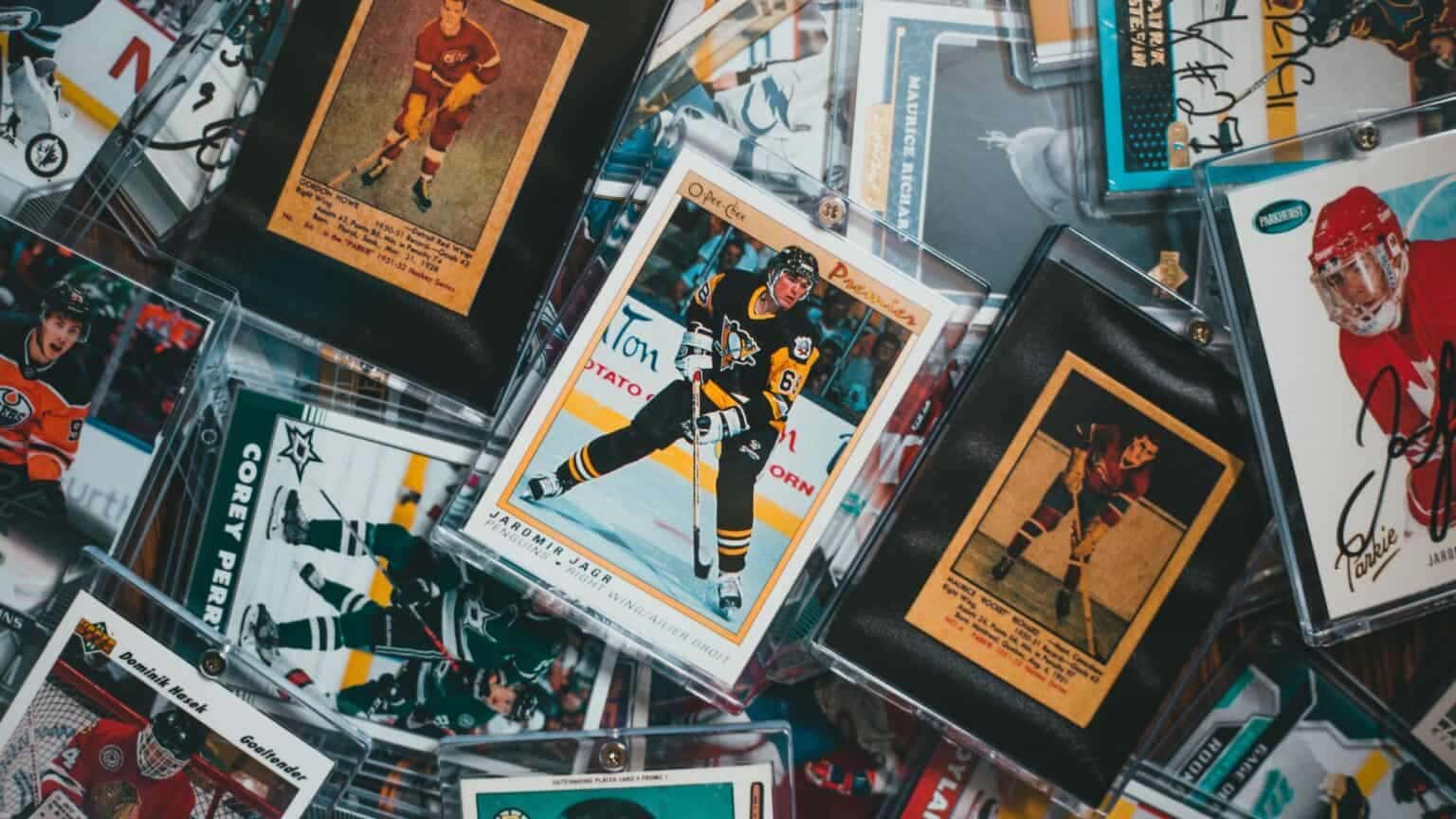 Tampa Bay Sports Collectors Expo
