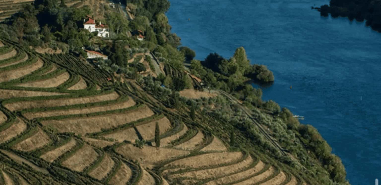 An Evening with The Symington Family Estate Portfolio