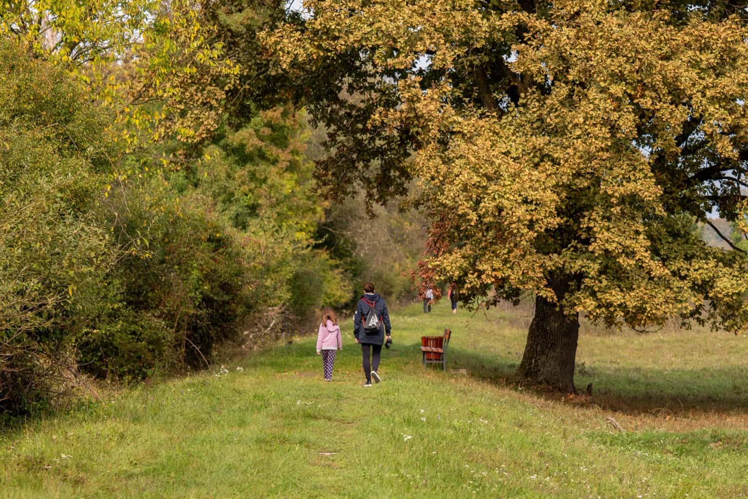 Let's Walk: Historic Canal Walk