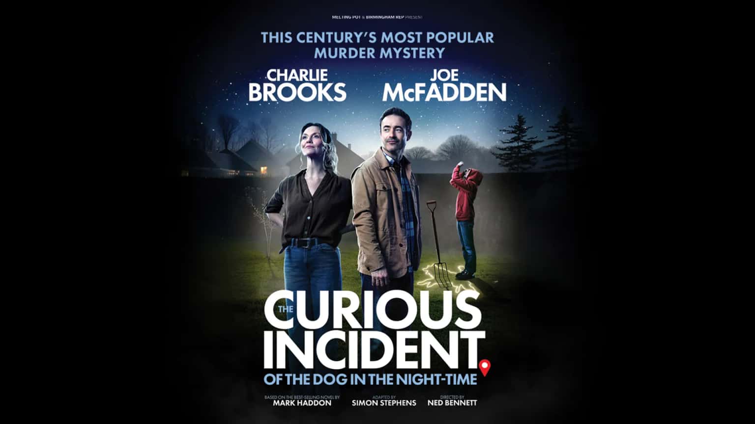 The Curious Incident of the Dog in the Night-Time