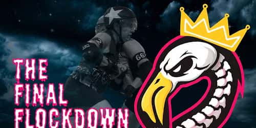 Tampa Roller Derby Final Flockdown