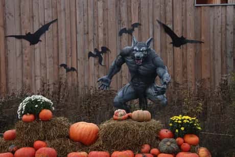 Tierhaus invites Leon Schanzenbach + more: Halloween special Newington