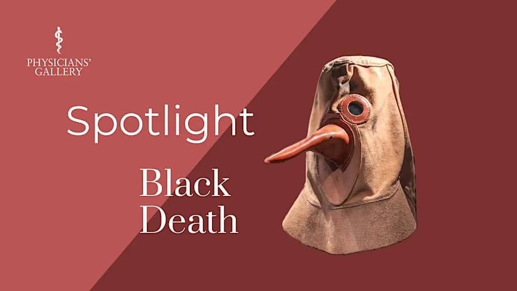 Spotlight: Black Death