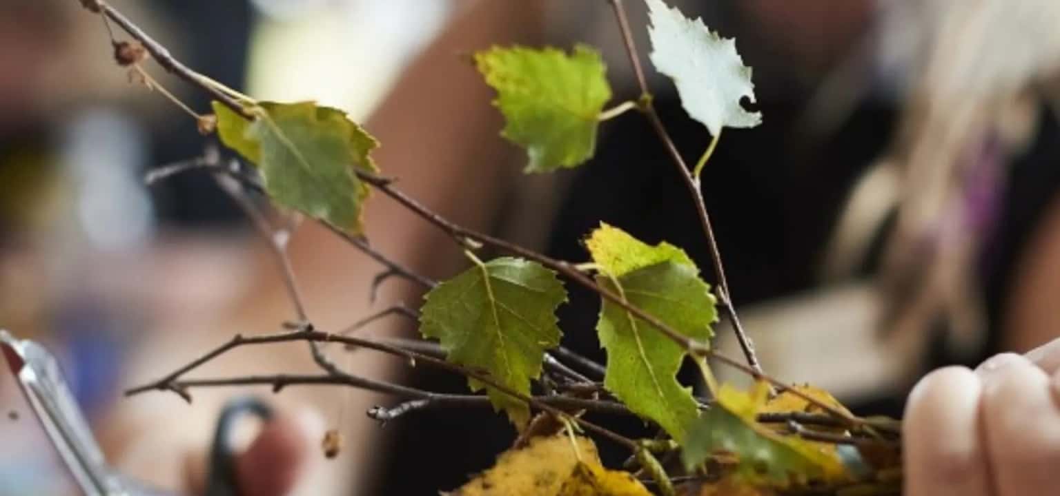 Autumn Leaf Luminaries