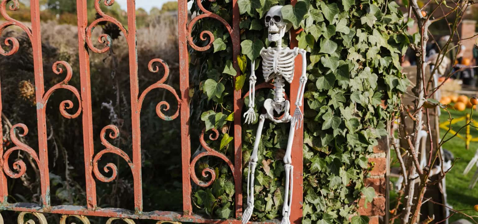 Halloween at Home Farm