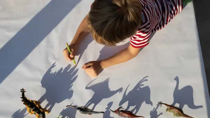 Shadow Art