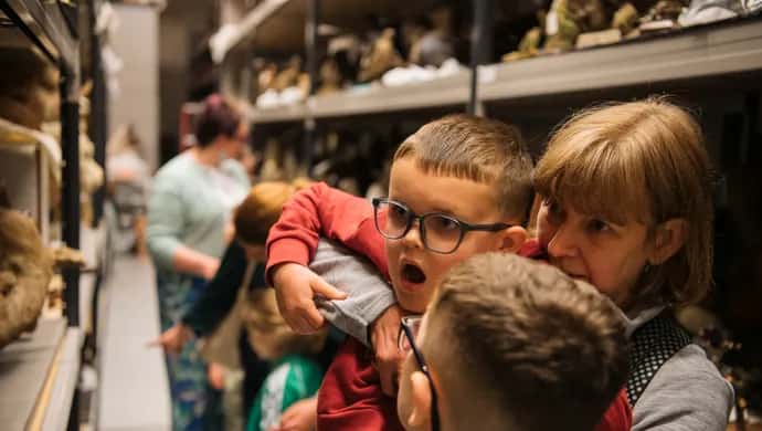 Night Creatures - October Half Term