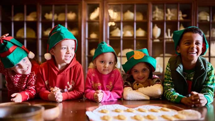 The Elf Academy