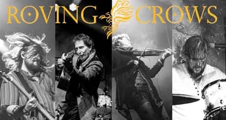 Roving Crows