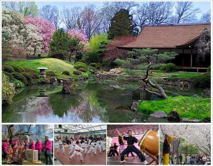 2027 Subaru Cherry Blossom Festival