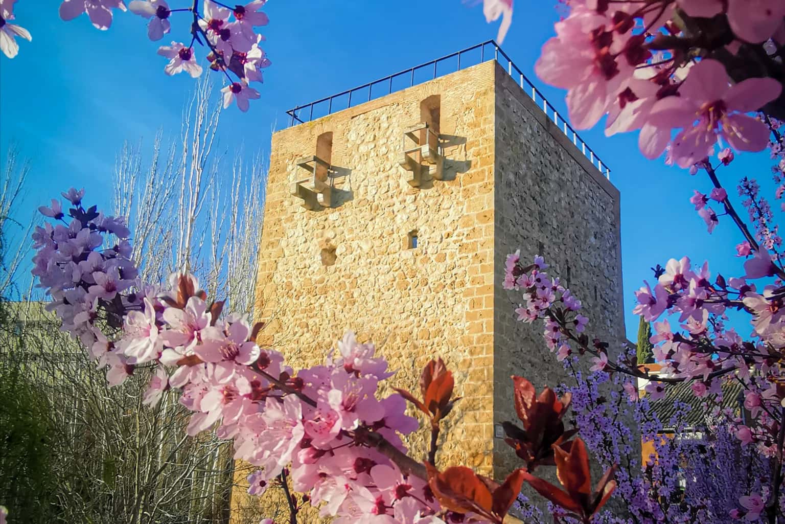 Visita guiada: Secretos del Torreón del Alamín