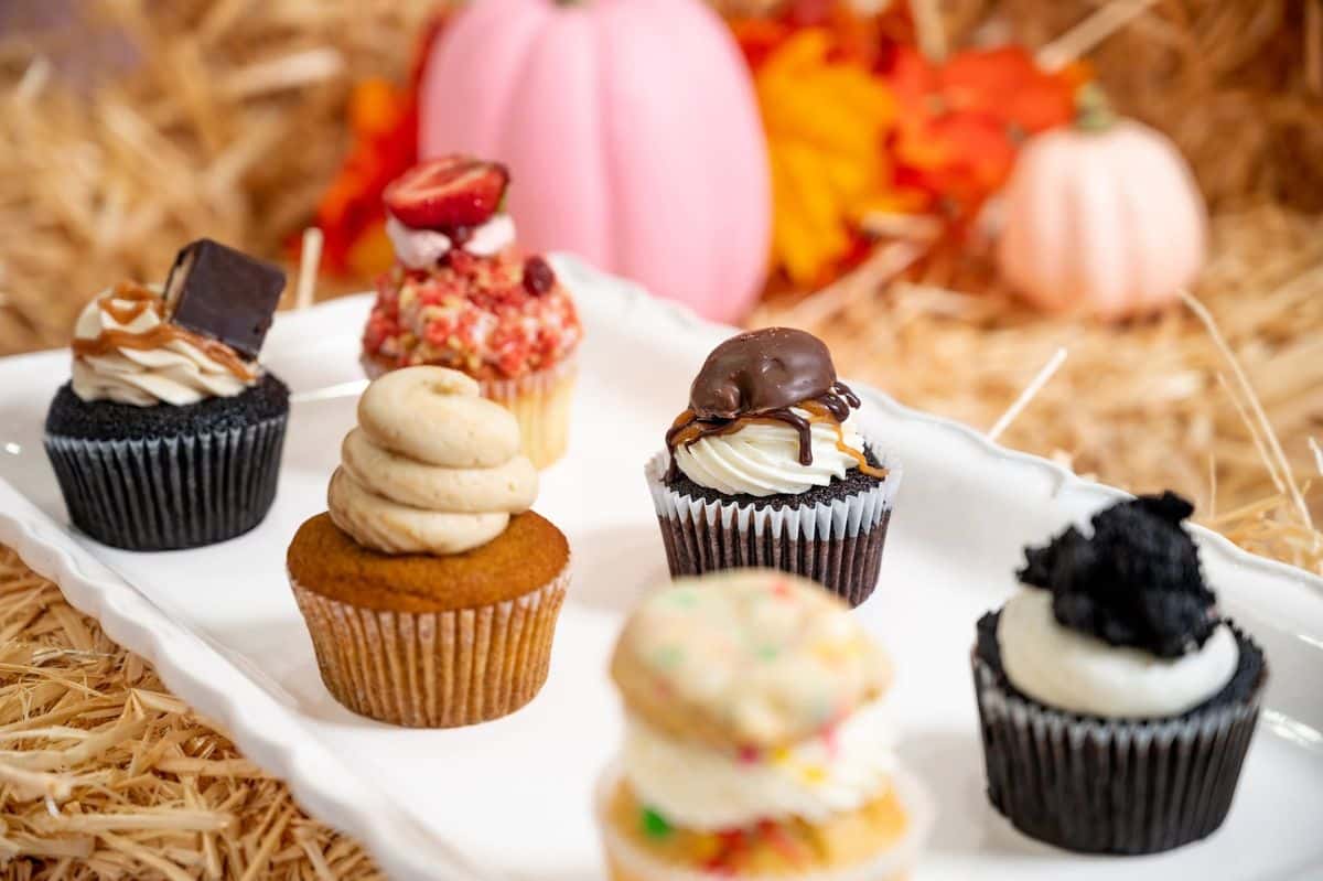 3rd Annual PINK Fall Festival