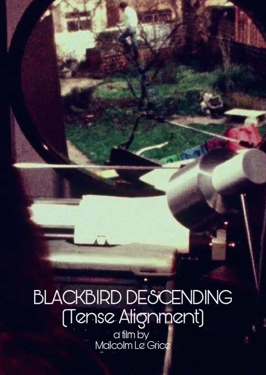 Puntos de Fuga VI: Blackbird Descending, de Malcolm Le Grice