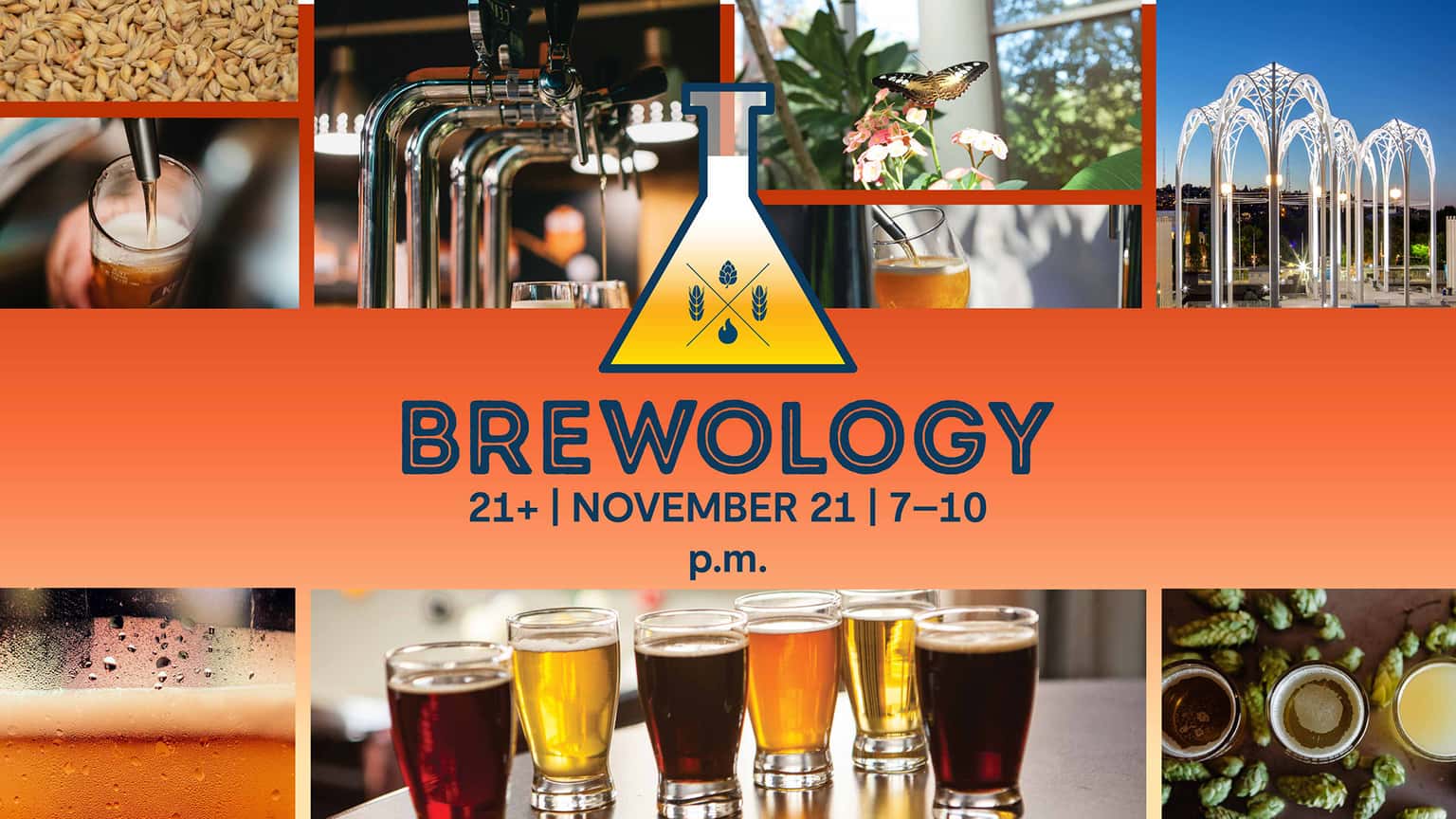 Brewology