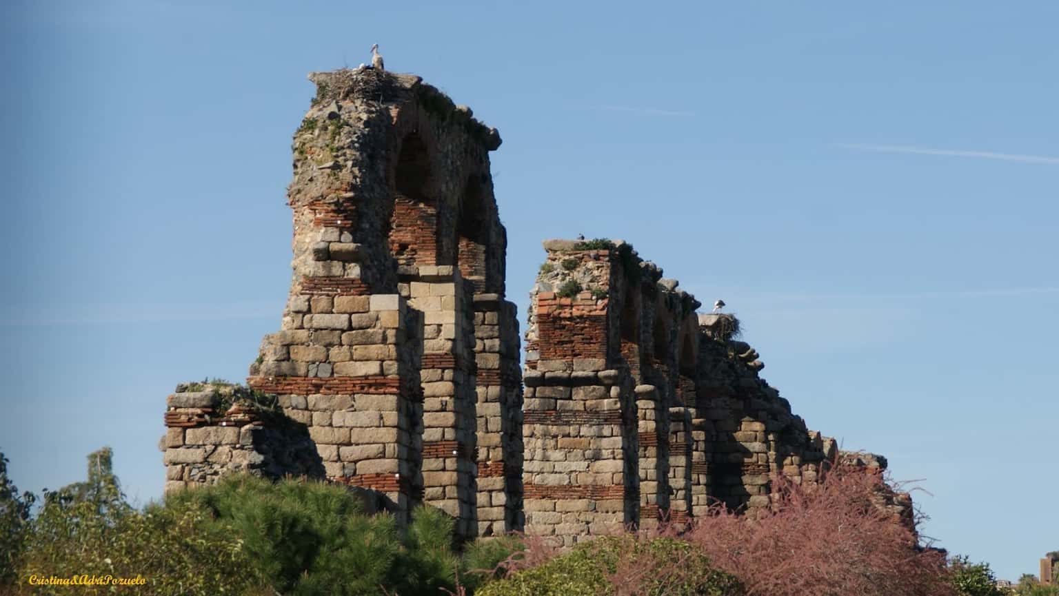 Circo Romano de Mérida: horarios, visita y boletos
