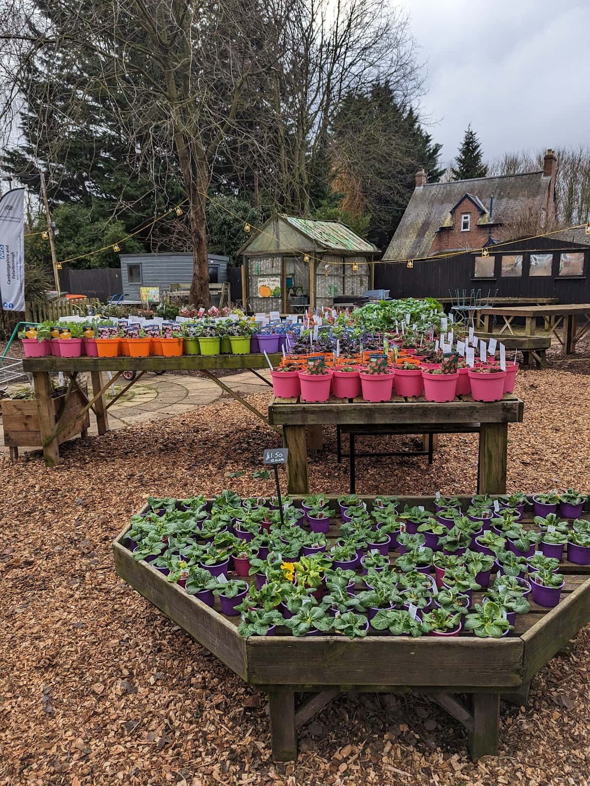 Darwin Nurseries and Farm Shop in Teversham