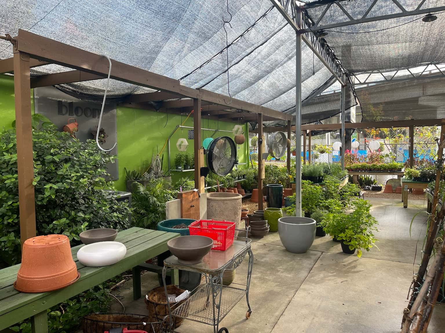 Bloom Garden Shop in South Tampa: Plants and Gifts
