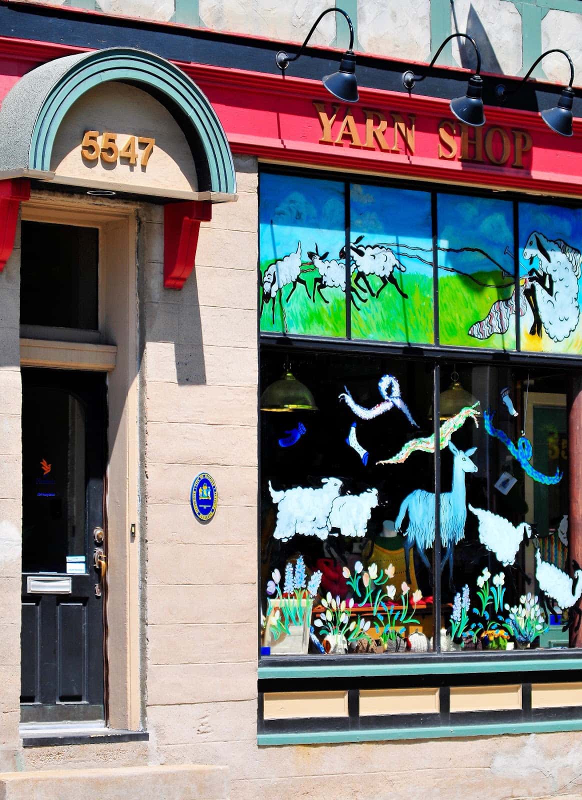 L.K. Yarns: A Yarn Shop in Halifax's Hydrostone
